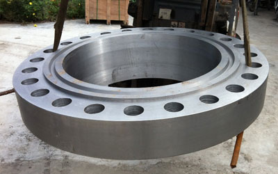 Stainless Steel 310 Pipe Flanges