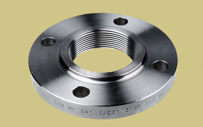 Stainless Steel 317L Pipe Flanges